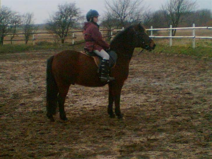 Anden særlig race Kurt ( Urt ) - Her har vi næsten lige fået Kurt billede 10