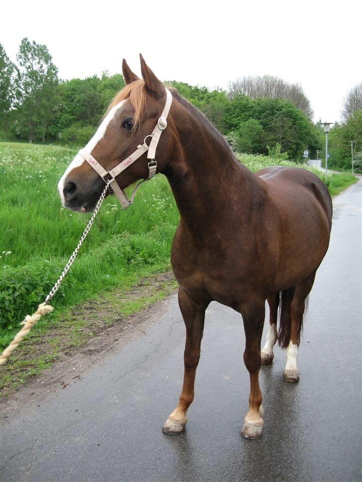 DSP Lori *død* R.I.P. billede 7