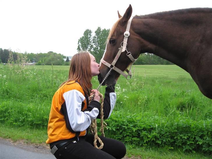 DSP Lori *død* R.I.P. billede 8