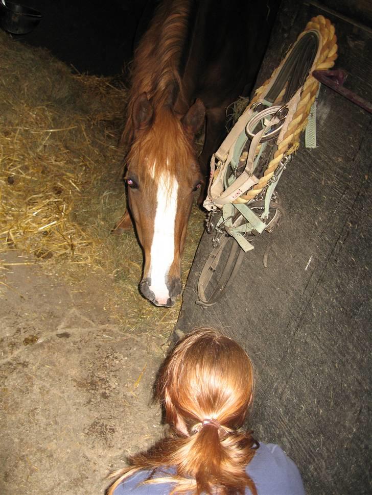 DSP Lori *død* R.I.P. billede 11