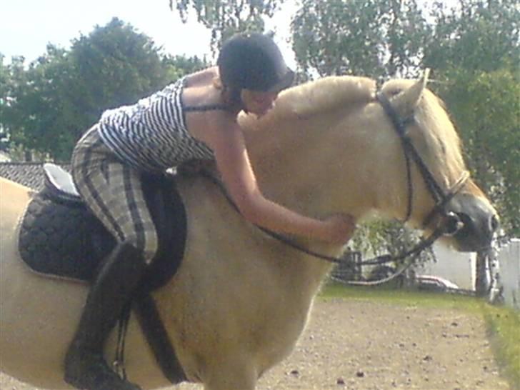 Fjordhest Bella <3 - Kigger på Nantano drengen , og Ficka pigen :D:D:D [Fotograf: Emilie] billede 4