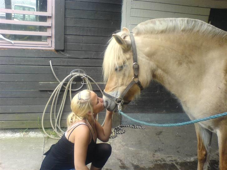 Fjordhest Bella <3 - Emilie kysser med den skønne :D [Fotograf: Mig] billede 9