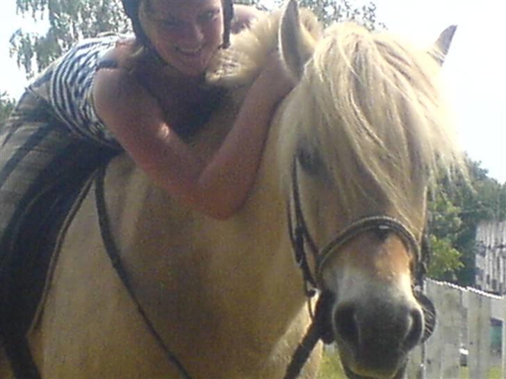 Fjordhest Bella <3 - Mig og Bella , vi står gerne model :D [Fotograf: Emilie] billede 11