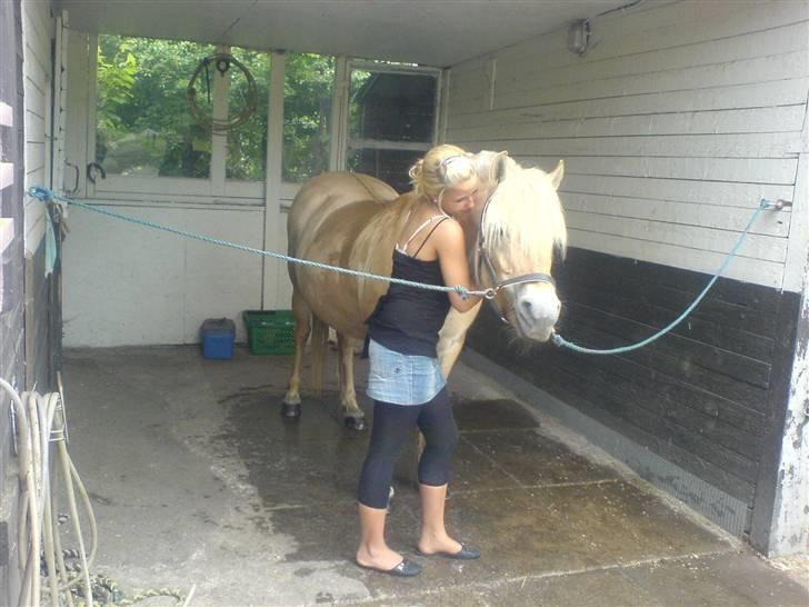 Fjordhest Bella <3 - Bella og dejlige Emilie :D Nusser lige :-* [Fotograf: Mig] billede 13