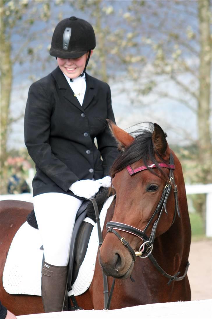 Traver Medea Fønix R.I.P. - *Foto Picola.dk* billede 15