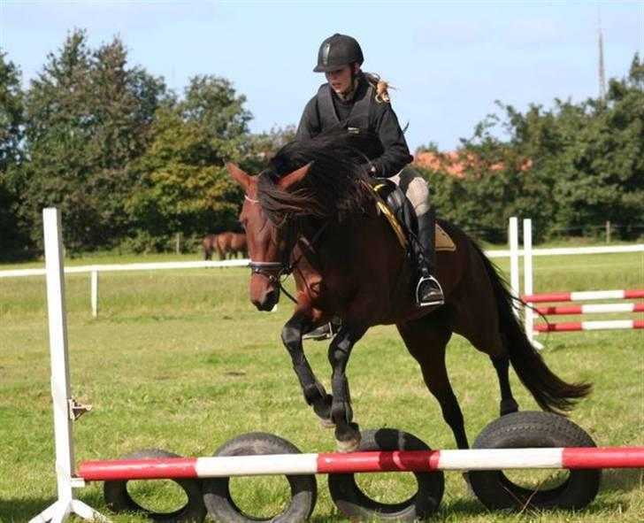 Traver Medea Fønix R.I.P. - igen vores første spring time billede 17
