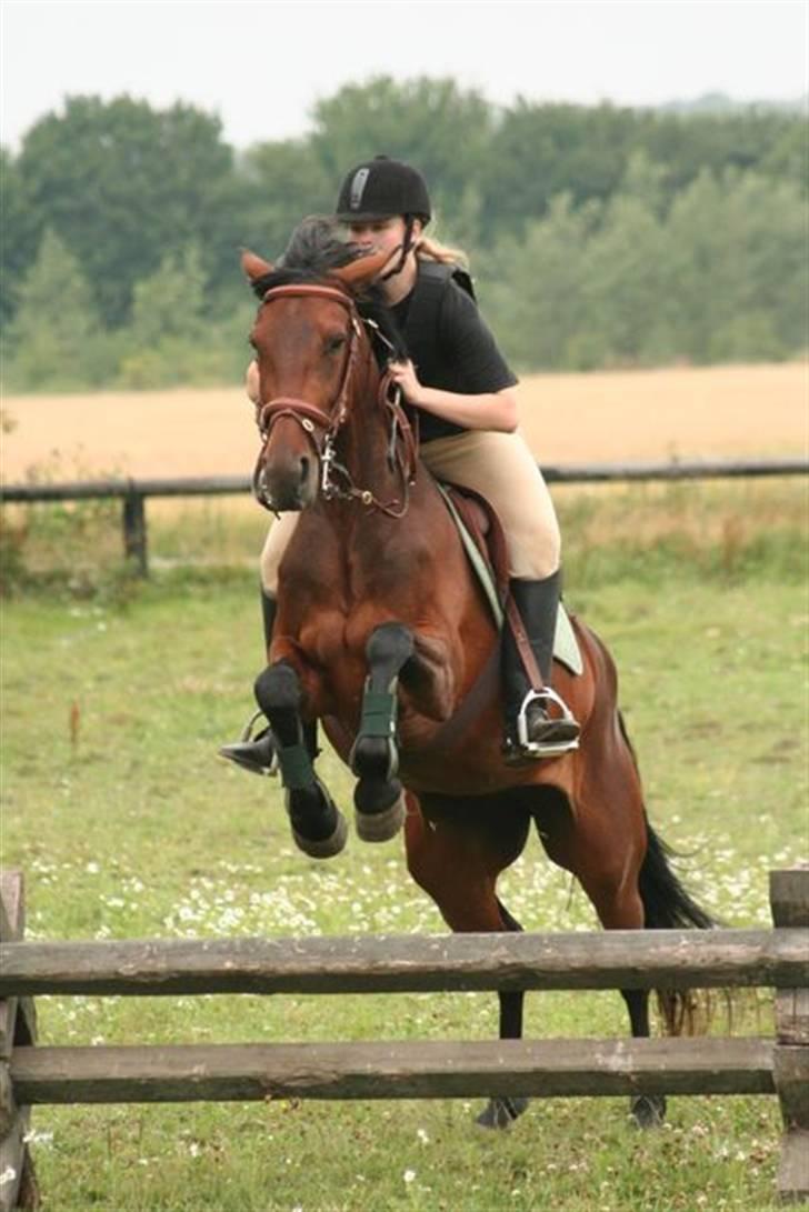 Traver Medea Fønix R.I.P. - Medea og jeg til spring på ØLR´s ridelejr ´08.  *Foto af Picola.dk * billede 18