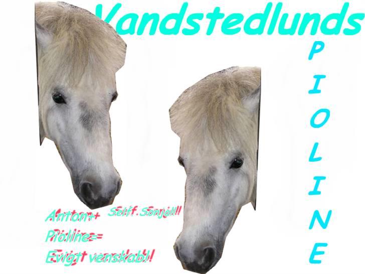 Miniature Vandstedlunds Pioline DØD billede 11