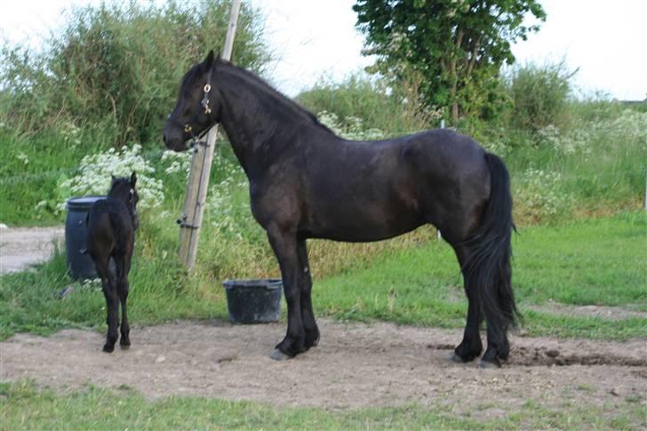 Frieser Karolyne J billede 2