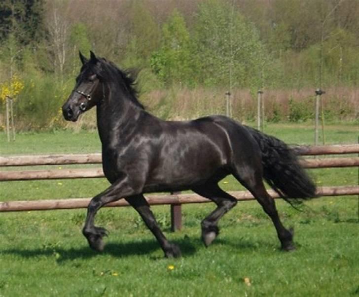 Frieser Karolyne J billede 3