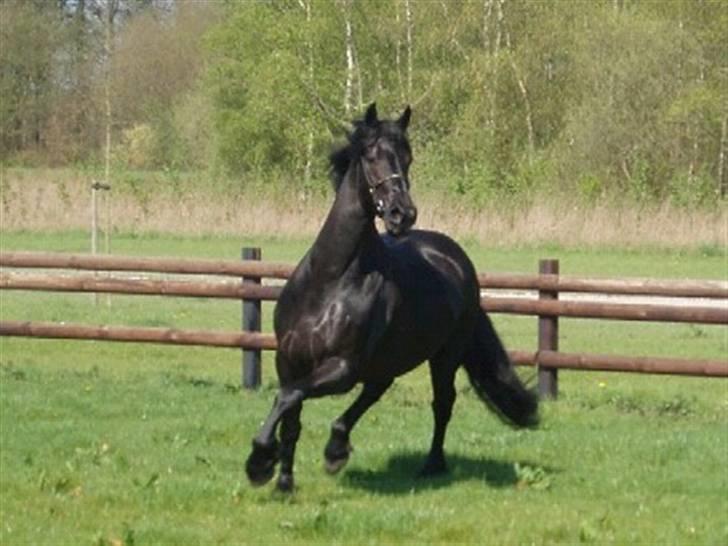 Frieser Karolyne J billede 8