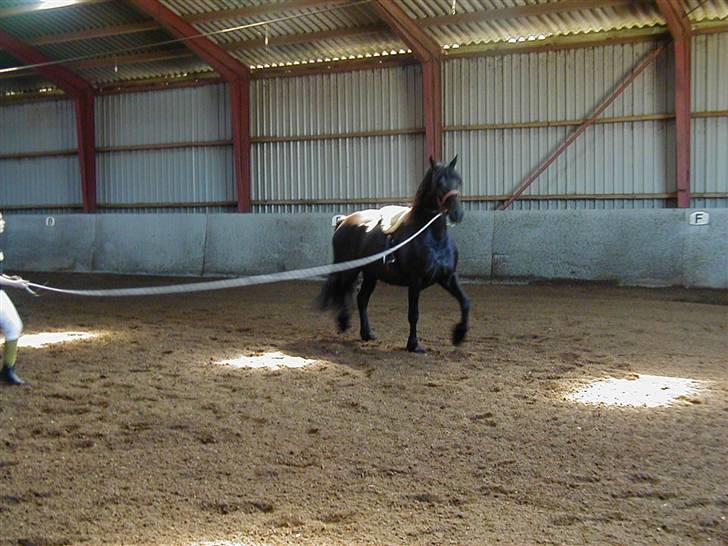 Frieser Karolyne J billede 10