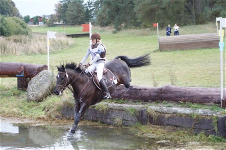 Anden særlig race Locksley - vand cncp* Gårds i sverige. 1 plads efterår 09 billede 10