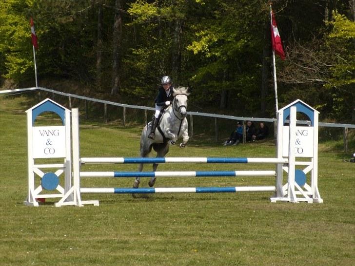 Anden særlig race Tonka  (solgt) - til stævne ;P billede 5
