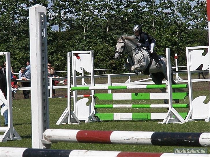 Anden særlig race Tonka  (solgt) - Tonka til distriksmesterskab 2 plads <3 billede 8