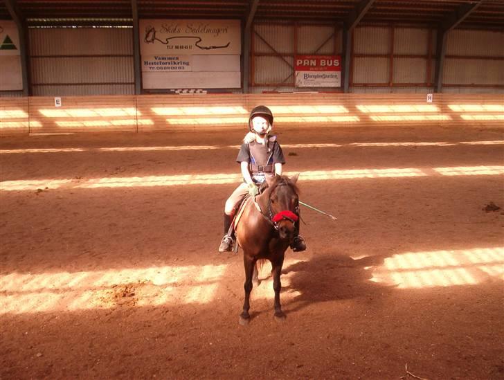 Shetlænder Josefine (død) - hej jeg hedder josefine og jeg er ude at ride med min rytter janne :)  [fotograf min mor] billede 1