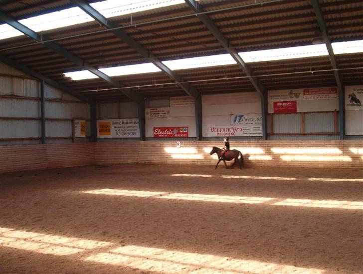 Shetlænder Josefine (død) - mig og janne i fri trav hehe sår´n næste :P [fotograf min mor] billede 2