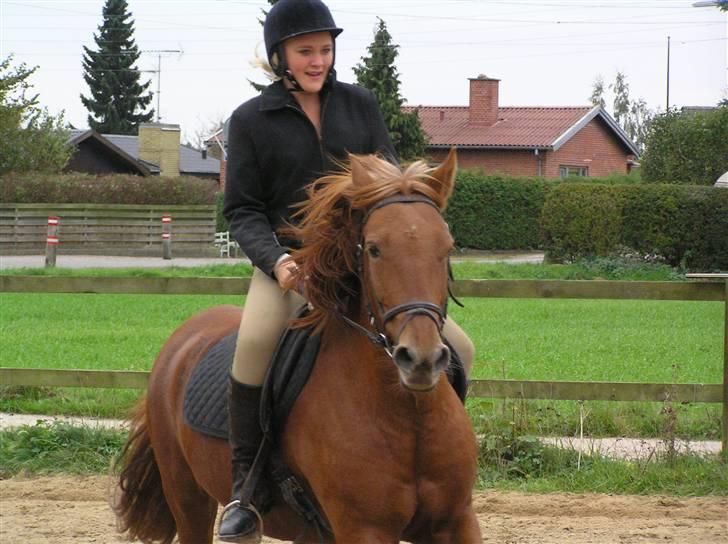 Anden særlig race Cassiopeia : Gammel part  - Kig ik på mig , ødelægger lidt billedet men det er ellers skide godt :D:D [Fotograf: Bror] billede 10