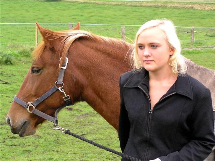 Anden særlig race Cassiopeia : Gammel part  - Afhentning fra folden :D [Fotograf: Bror] billede 15