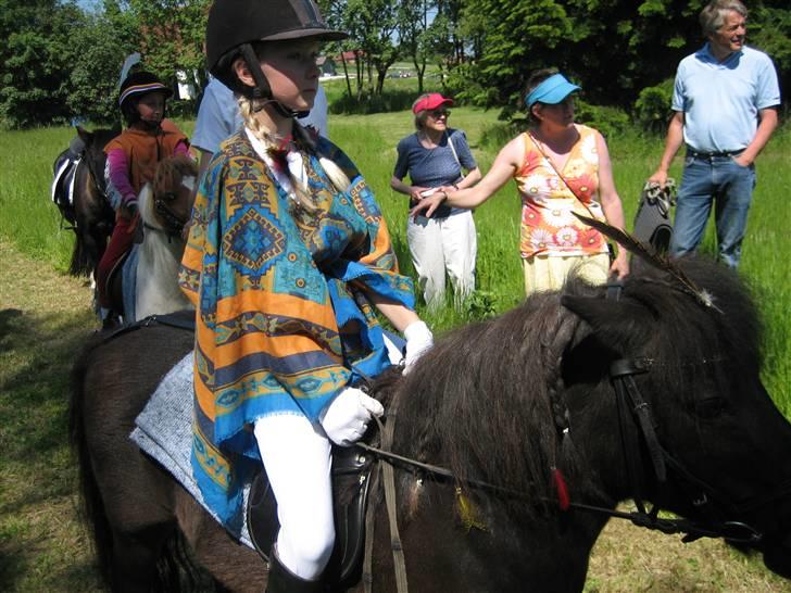 Shetlænder Josefine (død) - det er josefines bedste ven :)  [fotograf min mor] billede 7