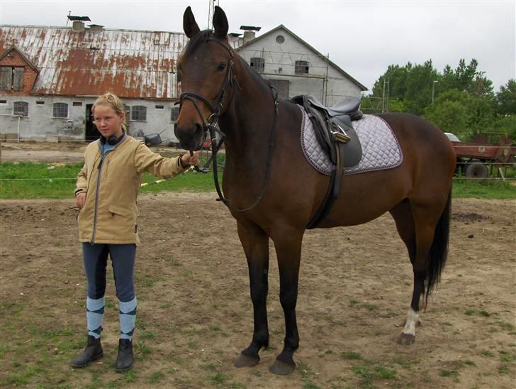 Traver Mille<3 solgt - jeg elsker dig mille! maria holder (: billede 11