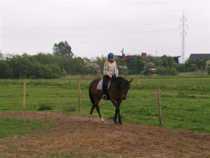 Traver Mille<3 solgt - (:  billede 14