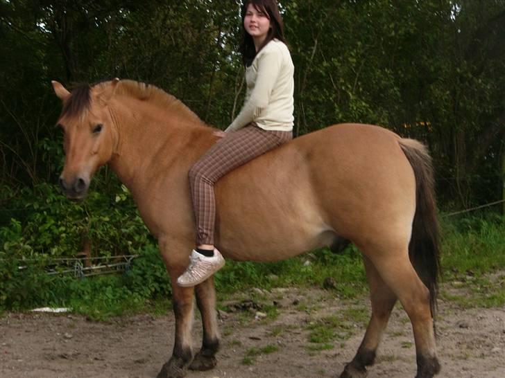 Anden særlig race Lucas<3 Solgt :(! - 2:ikk kommenter jeg ikk har ridehjelm på billede 2