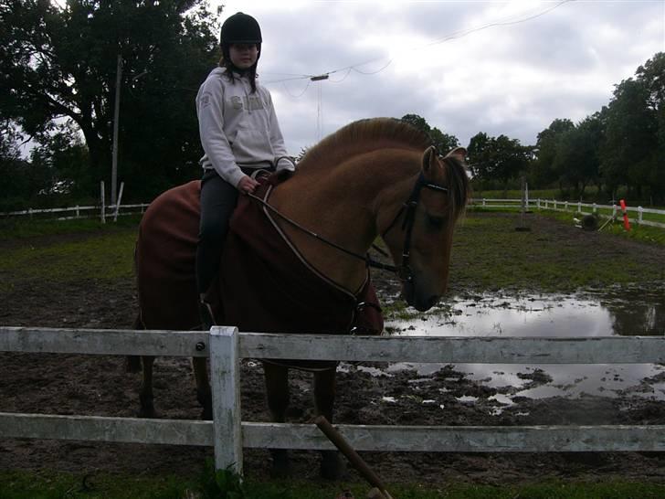 Anden særlig race Lucas<3 Solgt :(! - 3: han kan jo godt billede 3