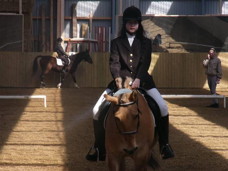 Anden særlig race Lucas<3 Solgt :(! - 9: ned mod midten billede 9