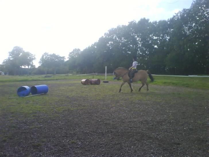 Anden særlig race Lucas<3 Solgt :(! - 13:lækker d 3 aug billede 13