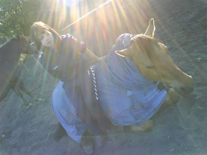 Anden særlig race Lucas<3 Solgt :(! - 15: billede 15