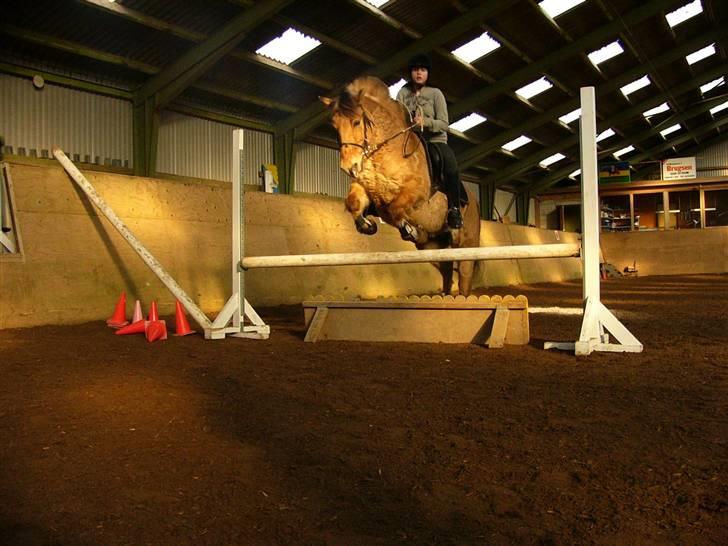 Anden særlig race Lucas<3 Solgt :(! - 16:ssspriing billede 16