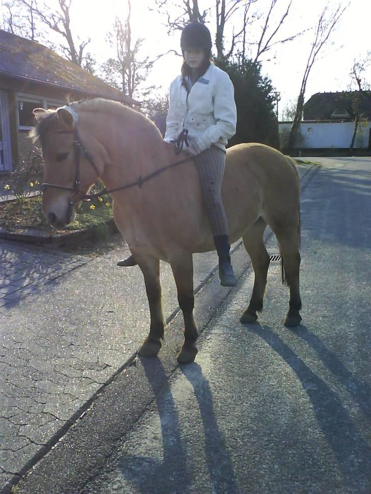 Anden særlig race Lucas<3 Solgt :(! - 18: he billede 18