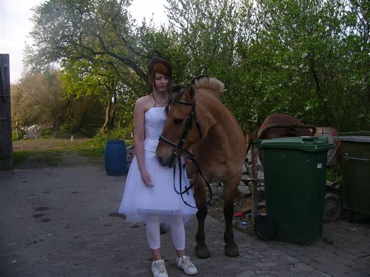 Anden særlig race Lucas<3 Solgt :(! - 19: Til min konfi :) billede 19