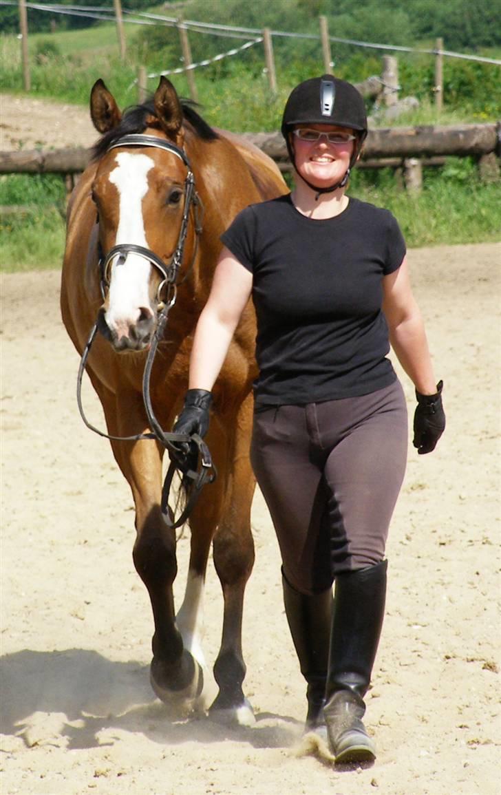 Dansk Varmblod Madigans Daydream, RDH - Rikke og Daydream. Rikke er glad for at hendes lille føllebølle endelig er blevet til en (næsten)ridehest.. billede 14