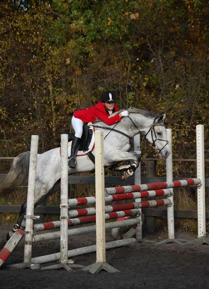 DSP Amadeus - MB på LRK. Vandt! Ö foto: Freja (med Casia)  billede 10