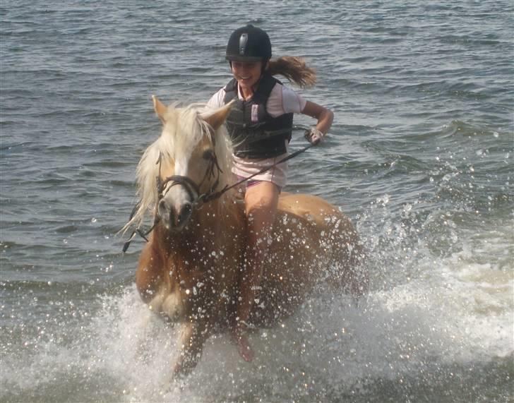 Tyroler Haflinger *Prinsesse* Silvia<3 - Mega fed badetur! (: billede 5