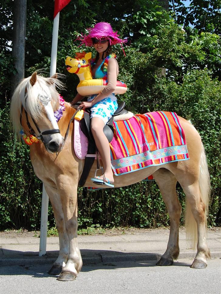 Tyroler Haflinger *Prinsesse* Silvia<3 - optog, badepige! 3. plads.. billede 7