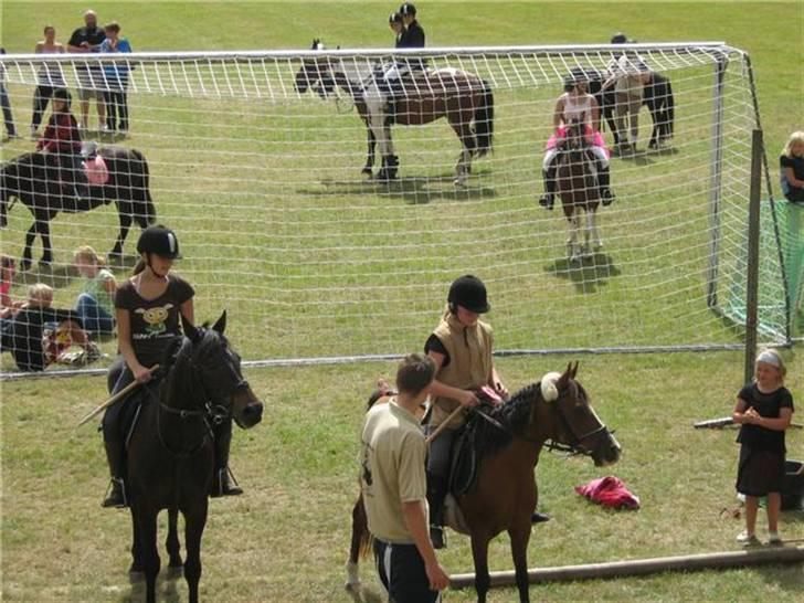 Anglo Araber (AA) Marino Campari Savnet  - Ja. efter marino og jeg havde kæmpede hård kom vi da på 2 pladsen  billede 10