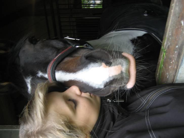 Tysk Sportspony Kiowa 006  - Kys , (grimme mig) SMUKKE KIOWA . - jeg er virkelig gald for hende <33  billede 5