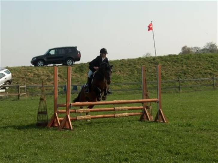 Anden særlig race Skouvgaardens Twisster - Vores første Distriktsstævne for halvanden år sidem (: billede 3
