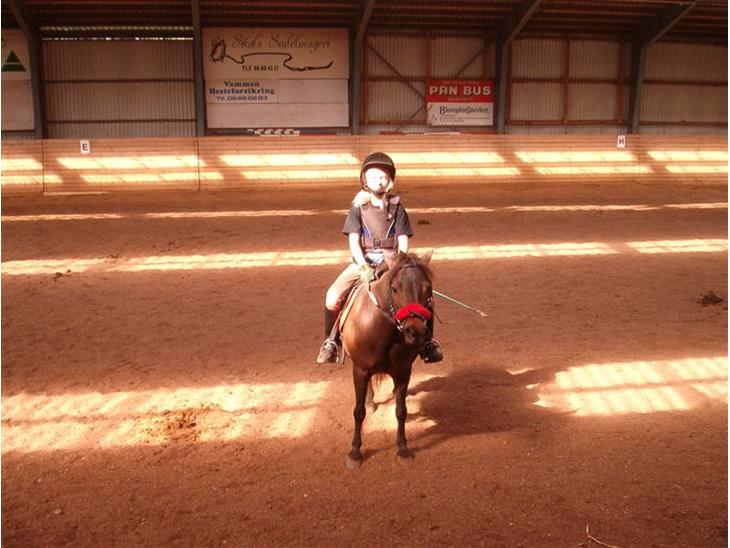 {{currentPhoto.altText}} billede {{currentPhoto.number}}