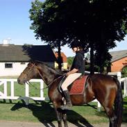 Anden særlig race Malou (SOLGT) R.I.P. <3