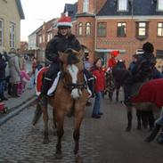 DSP snekkerups Blis (james)