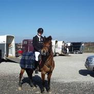 Anden særlig race Flying Star 