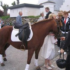 Anden særlig race Beauty "SOLGT" <3