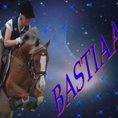 Welsh Pony af Cob-type (sec C) Bastiaan  *~*SOLGT*~*