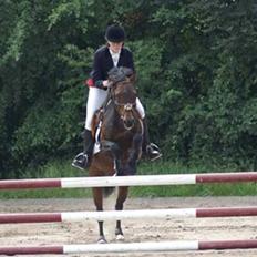 New Forest Offem Minos