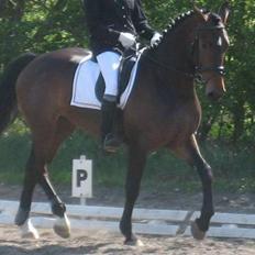 Anden særlig race Malou (SOLGT) R.I.P. <3