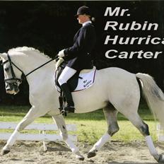 Anden særlig race Mr Rubin Hurricane Carter